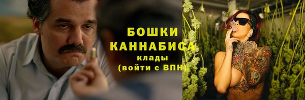соль ск Пересвет