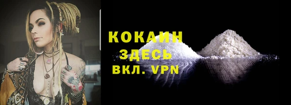 соль ск Пересвет