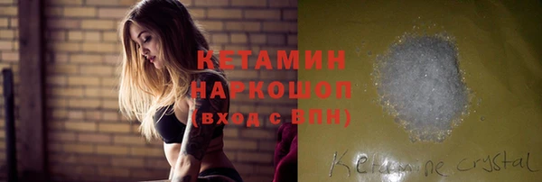 крисы Абаза