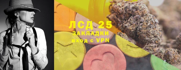соль ск Пересвет
