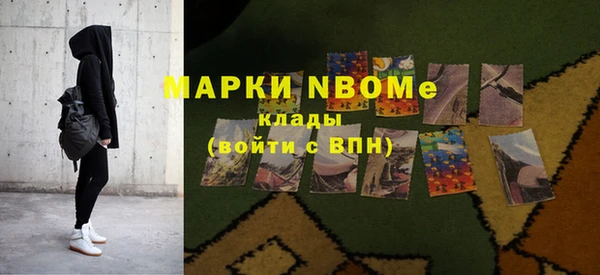 соль ск Пересвет