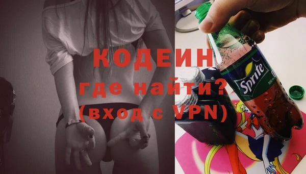 соль ск Пересвет