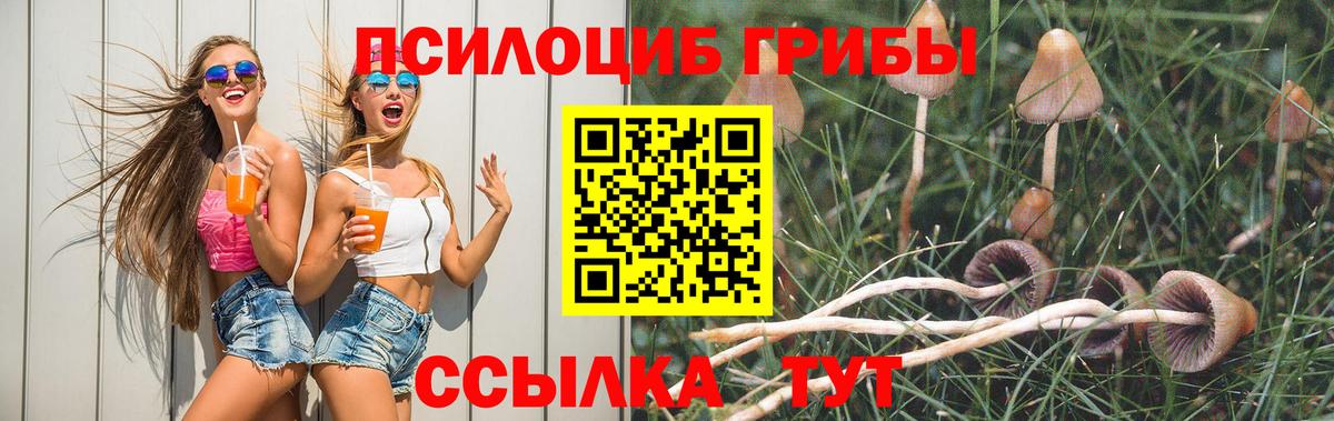 Псилоцибиновые грибы ЛСД  Алексеевка  Галлюциногенные грибы Cubensis 