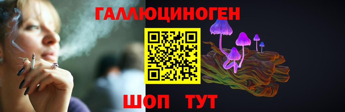 Галлюциногенные грибы ЛСД  Вход с VPN  Псилоцибиновые грибы Psilocybe  Алексеевка 